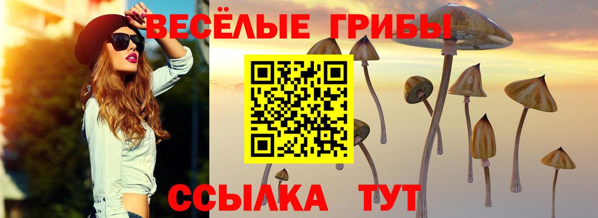 Кингисепп  Галлюциногенные грибы Cubensis  закладки  Вход с VPN 