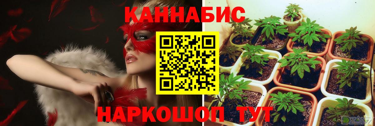 МАРИХУАНА тримм Кингисепп